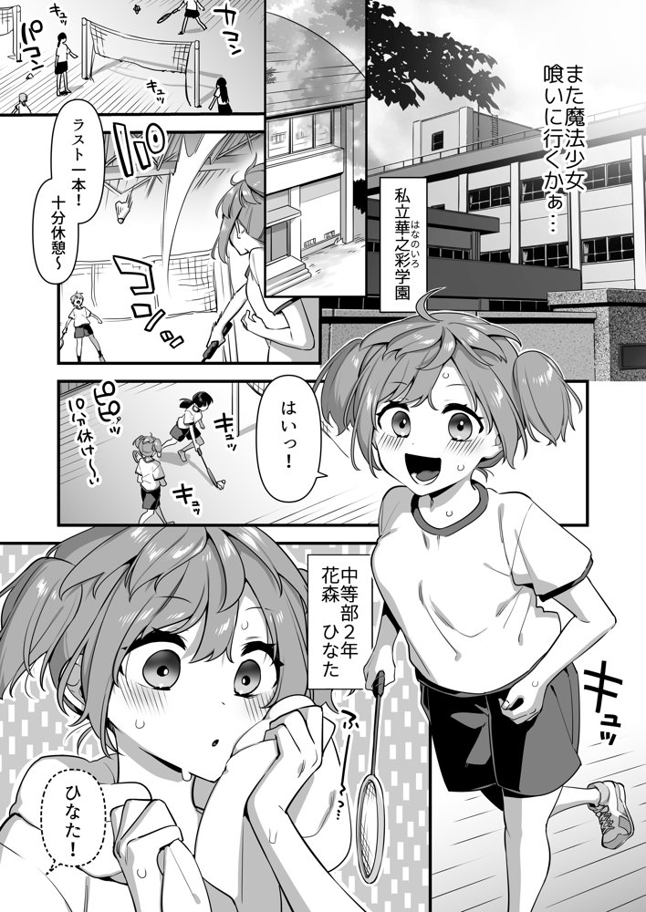 悪の手先になったので。〜魔法少女を凌●します〜2 無料エロ漫画 raw エロ同人誌画像 007